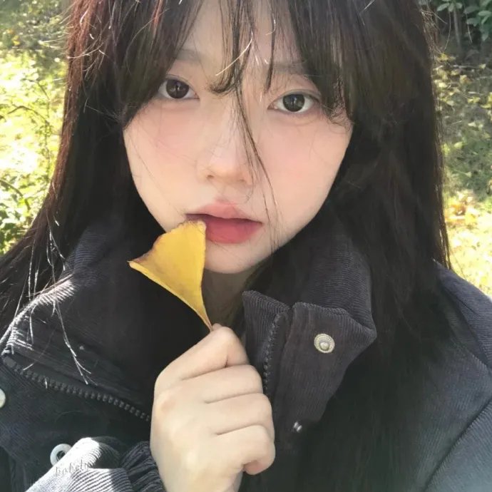 崂山探花郎